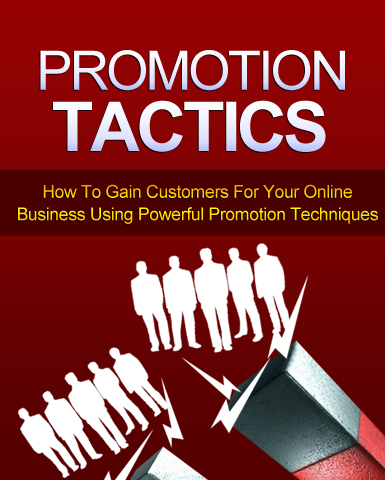 Promotion Tactics 2013